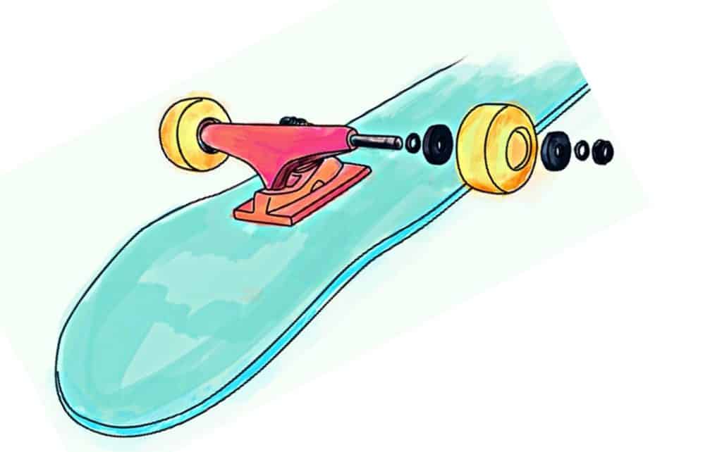 skateboard wheels anatomy