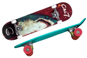 Cal 7 Skateboard Reviews