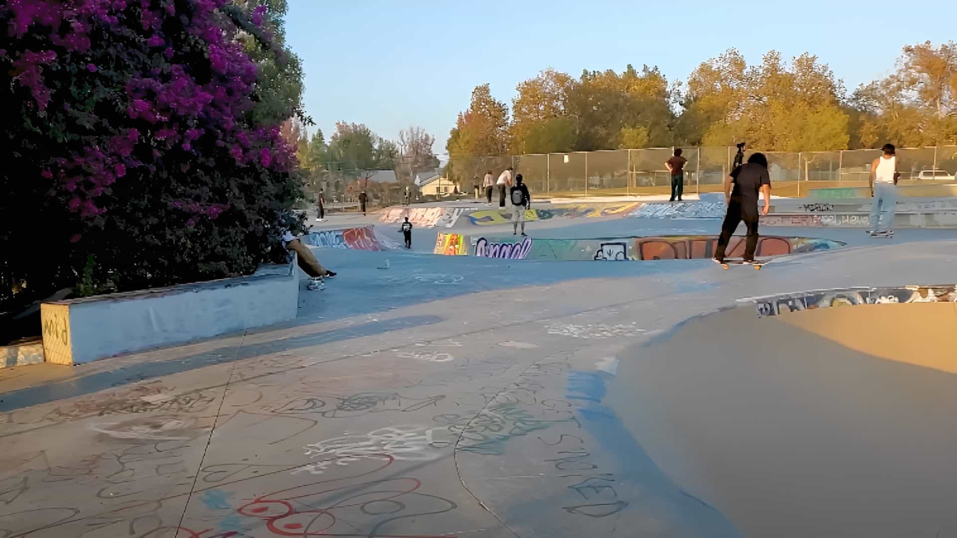 Pedlow Field Skate Park, Los Angeles